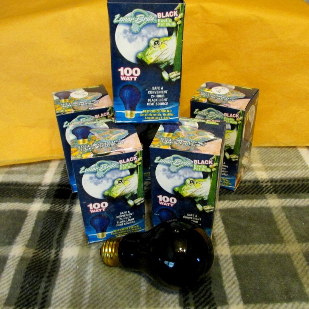 H133-NIB 100W Black Light Bulb-Fits in any standard light socket
